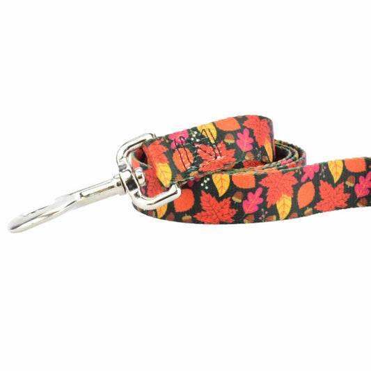 Falling Leaves Dog Leash – EarthStyle