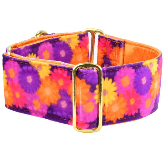 Gerbera Daisy Elite Velvet Martingale Dog Collar