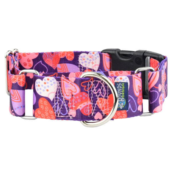 Wild Hearts Buckle Martingale Dog Collar – EarthStyle