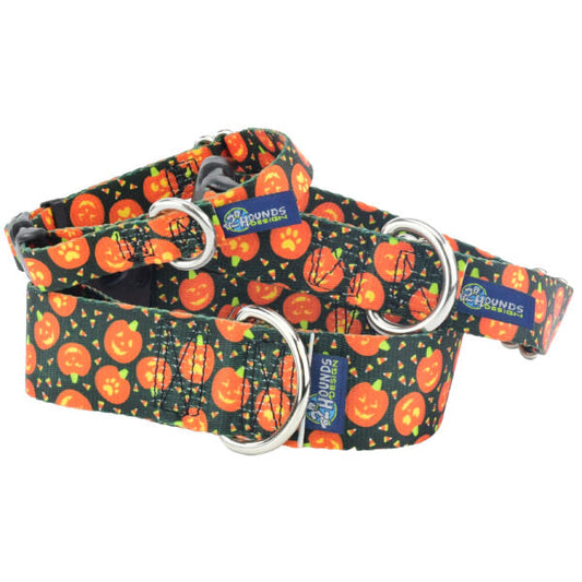 Jack O Lantern Buckle Martingale Dog Collar – EarthStyle