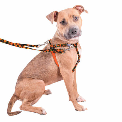 Jack O Lantern Freedom No-Pull Dog Harness – EarthStyle