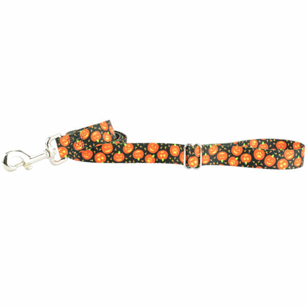 Jack O Lantern Dog Leash – EarthStyle