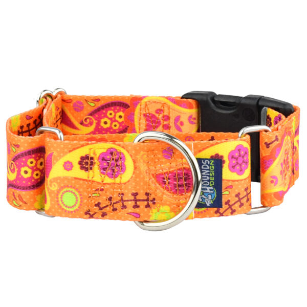 Orange Paisley Buckle Martingale Dog Collar – EarthStyle