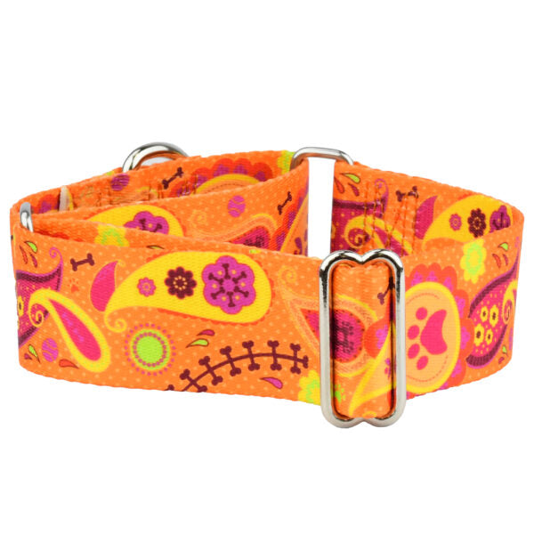 Orange Paisley Martingale Dog Collar – EarthStyle