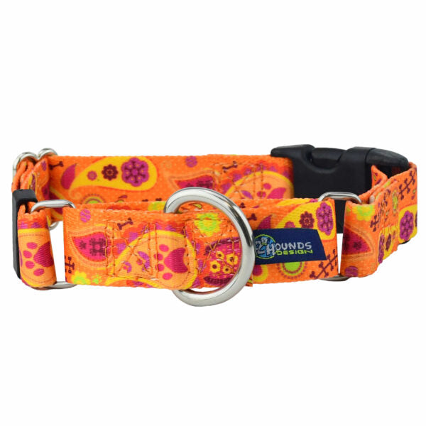 Orange Paisley Buckle Martingale Dog Collar – EarthStyle