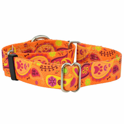 Orange Paisley Martingale Dog Collar – EarthStyle