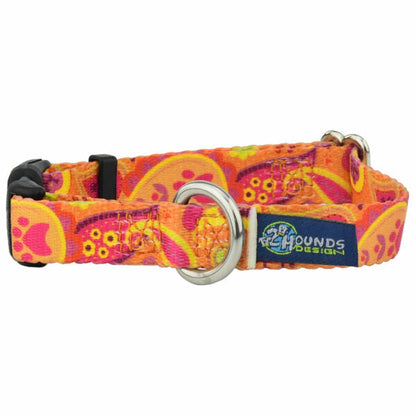 Orange Paisley Dog Collar – EarthStyle