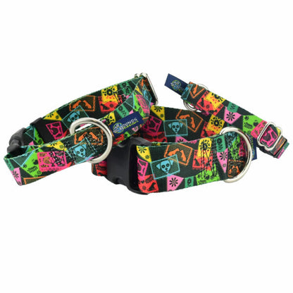 Paper Flags Martingale Dog Collar – EarthStyle