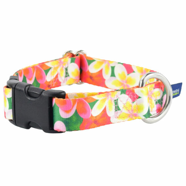 Aloha Dog Collar – EarthStyle