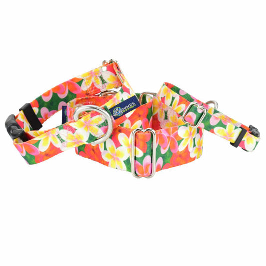 Aloha Martingale Dog Collar – EarthStyle