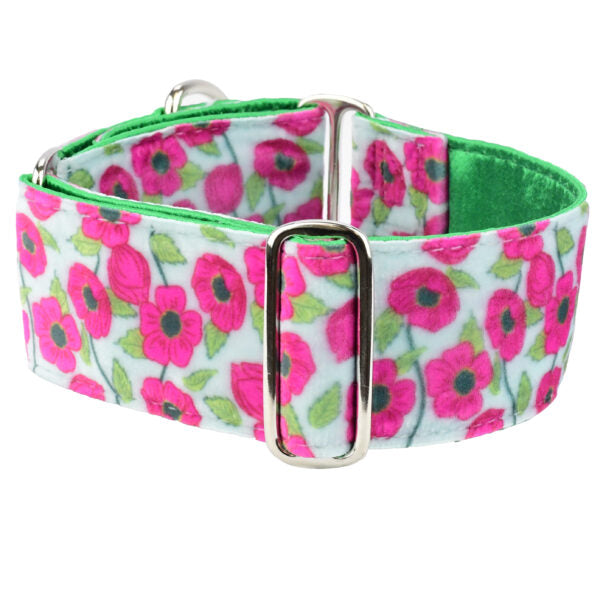 Bold Poppies Elite Velvet Buckle Martingale Dog Collar