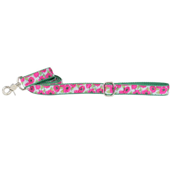 Bold Poppies Velvet Dog Leash