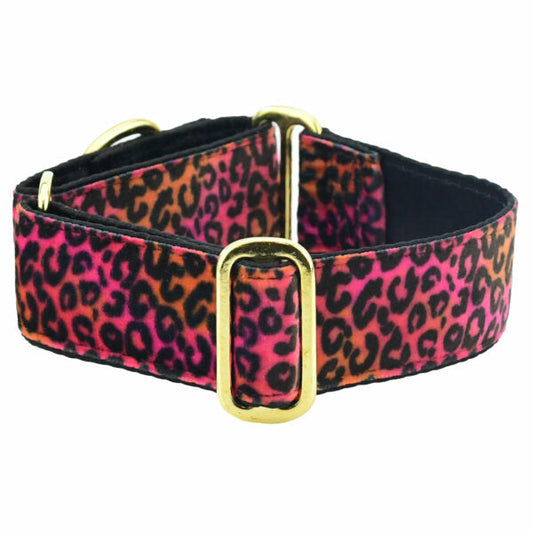 Wild Kitty Pink Elite Velvet Martingale Dog Collar