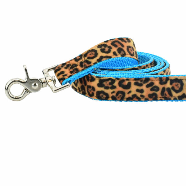 Soft Kitty Velvet Dog Leash (Multiple Webbing Color Options)