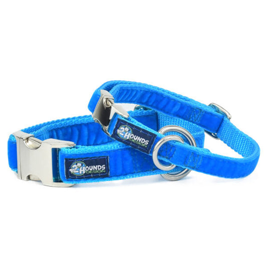 Venetian Blue Velvet Essential Buckle Martingale Dog Collar