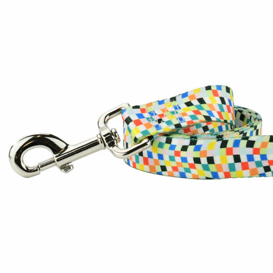 Indy Flag Dog Leash – EarthStyle