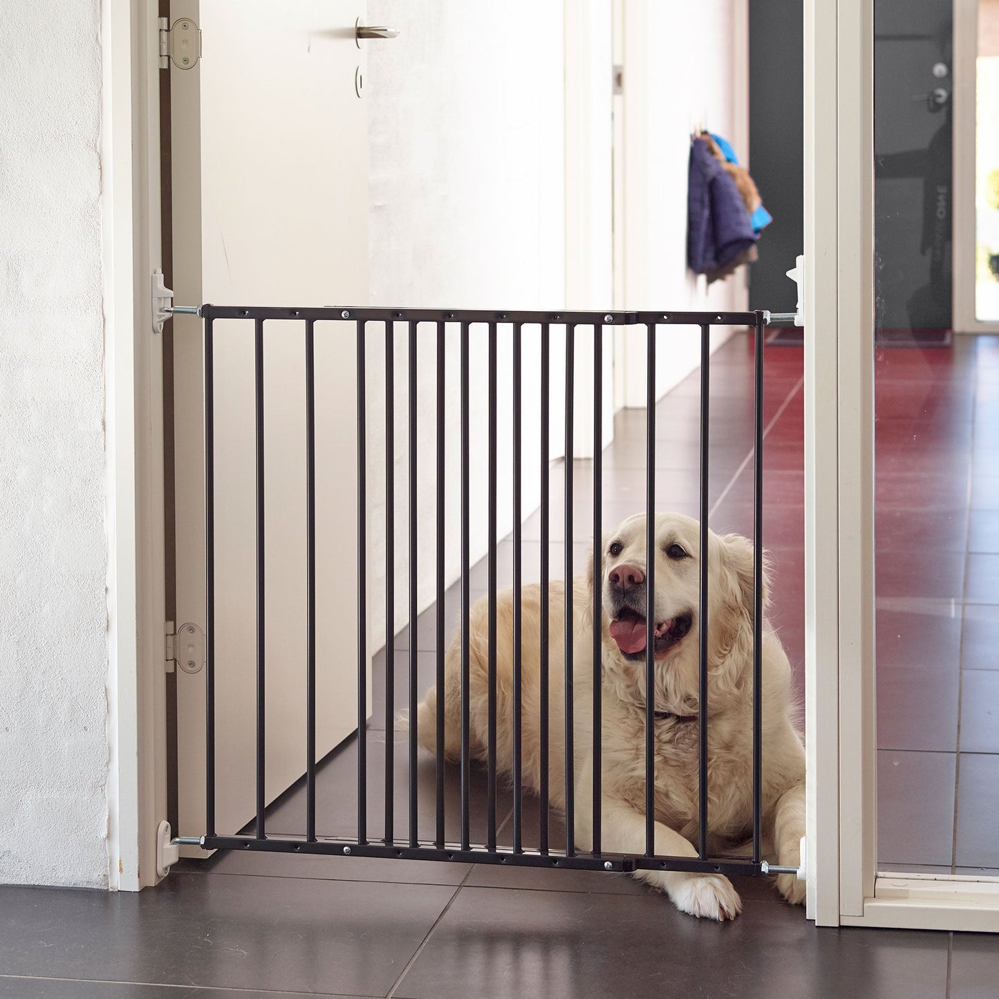 Scandinavian Pet MultiDan Wall Mount 24.6-42in Doorway Safety Baby Gate, Black