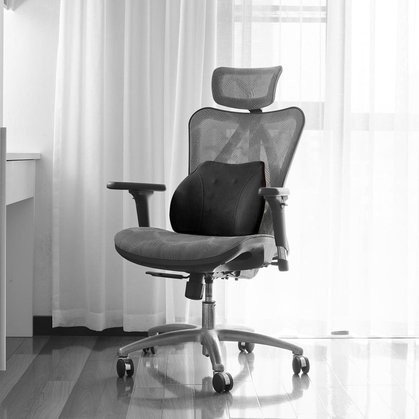 WENNEBIRD Model Q Lumbar Memory Foam Support Pillow to Improve Posture, Black