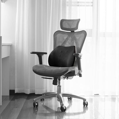 WENNEBIRD Model Q Lumbar Memory Foam Support Pillow to Improve Posture, Black