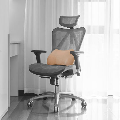 WENNEBIRD Model B Lumbar Memory Foam Support Pillow to Improve Posture, Beige