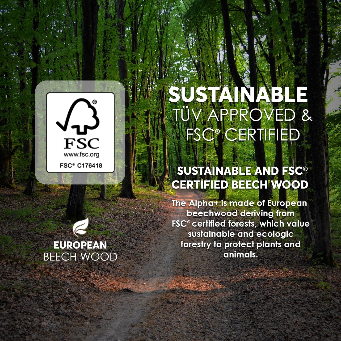 hauck Alpha+ Grow Along Adjustable Wooden Highchair Seat, Beechwood, Natural