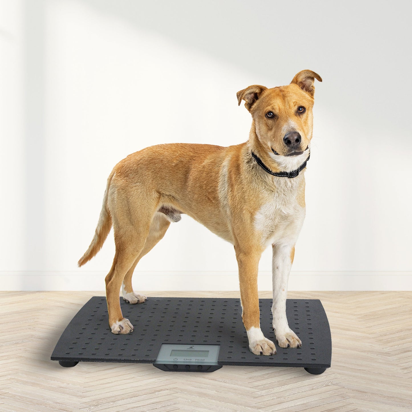 Redmon Pet Partners Large Non-Skid Rubber Precision Digital Pet Weight Scale