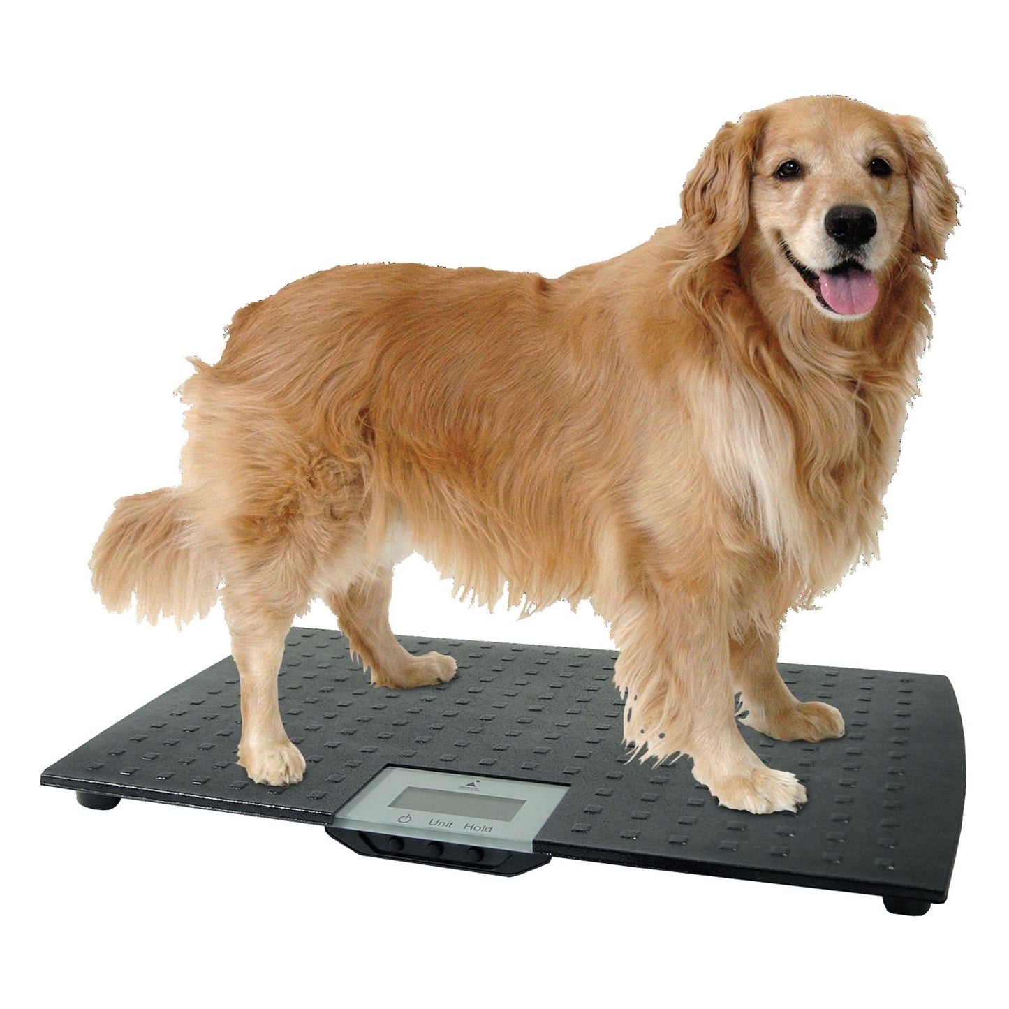 Redmon Large Rubber Precision Digital Pet Weight Scale with Carrier Tote Bag