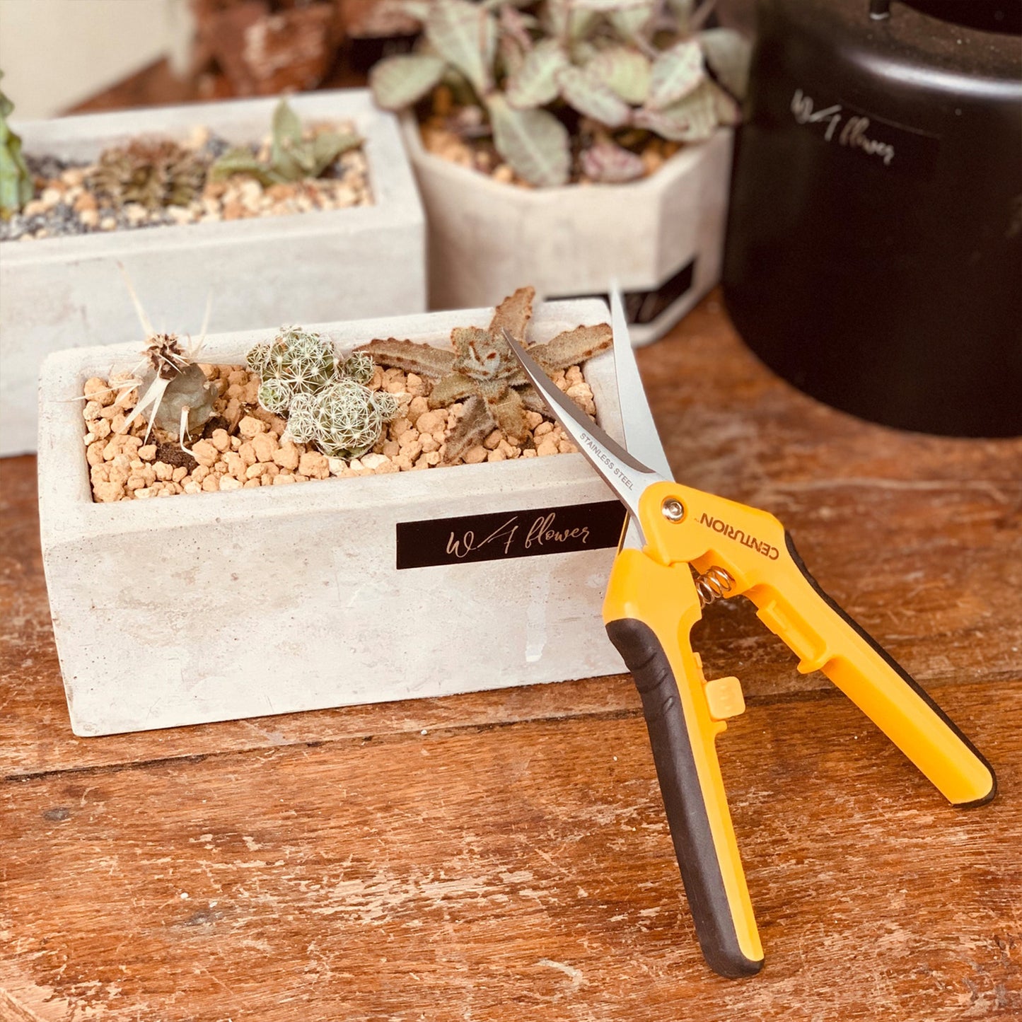 CENTURION Stainless Precision Snip Curved/Straight Pruning & Trimming Shear Set