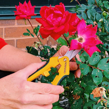 CENTURION Stainless Precision Snip Curved/Straight Pruning & Trimming Shear Set