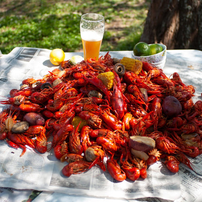 Bayou Classic 22" Stainless Banjo Cooker with Broad Flame for Outdoor Cooking