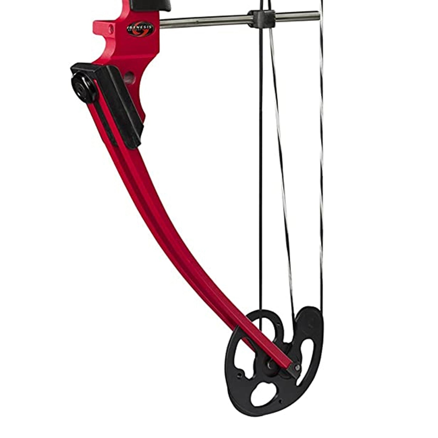 Genesis Archery Compound Bow Adjustable Sizing for Right Handed, Red (4 Pack)