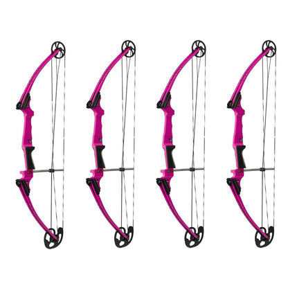 Genesis Archery Compound Bow Adjustable Sizing for Right Handed, Purple (4 Pack)