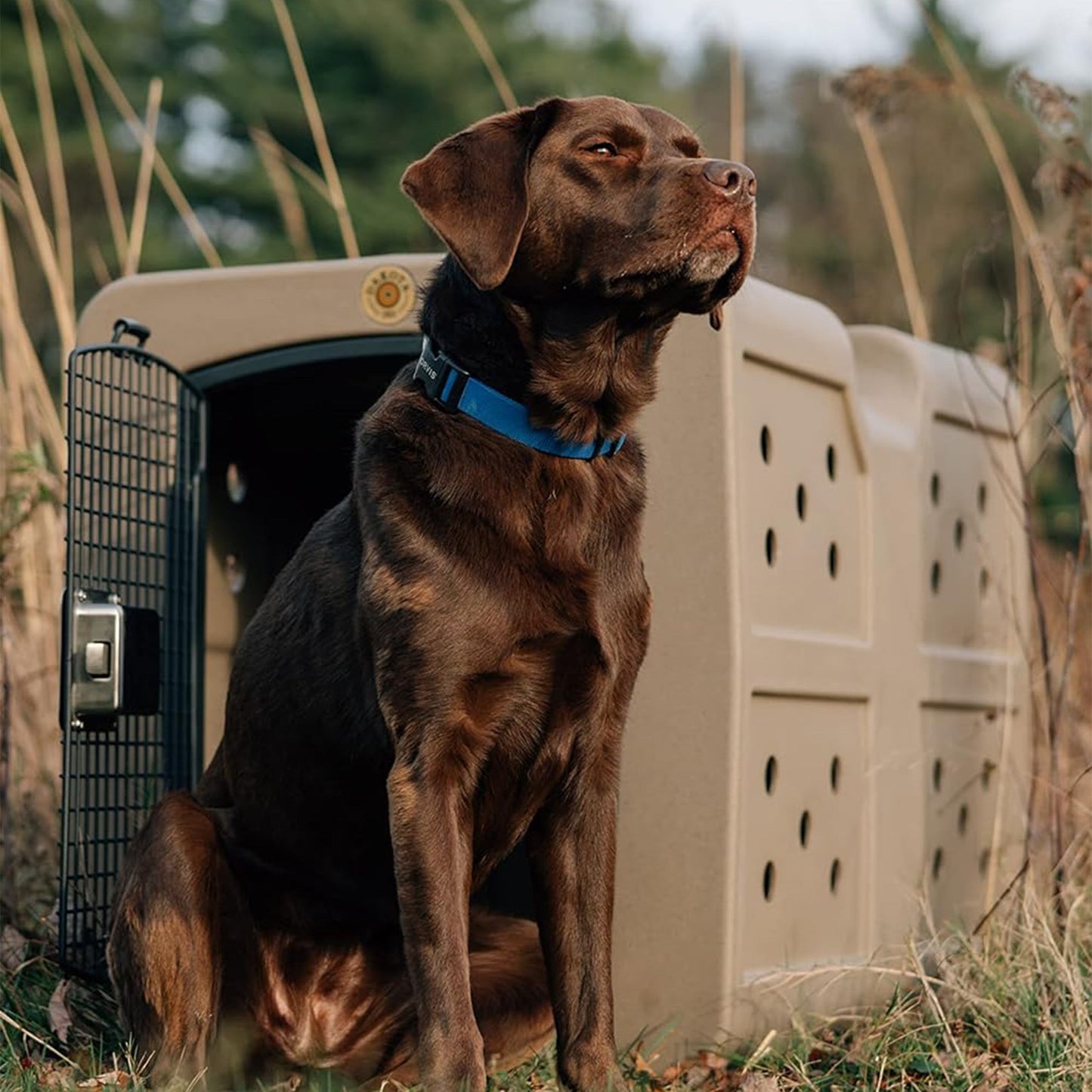 Dakota 283 G3 Large Easy to Clean Dog Kennel w/ Handle & Latching Door, Olive