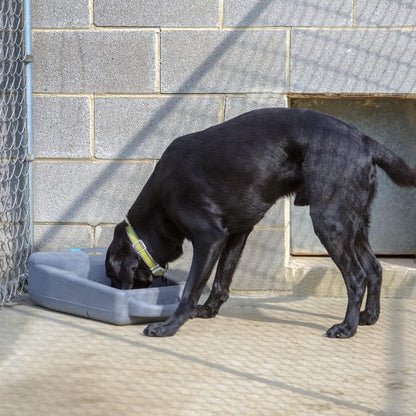 Dakota 283 Dash 3.5 Gallon Water Bowl/Dispenser System for Dogs & Pets, Orange