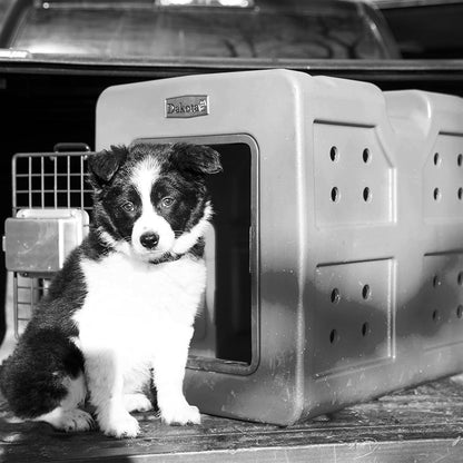 Dakota 283 G3 Small Easy To Clean Dog Kennel w/ Handle & Latching Door, Olive