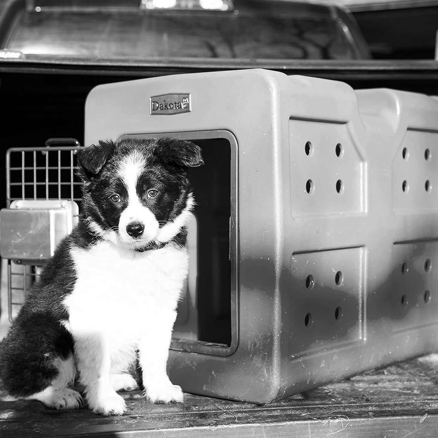 Dakota 283 G3 Easy To Clean Dog Kennel w/ Handle & Latching Door, Coyote Granite