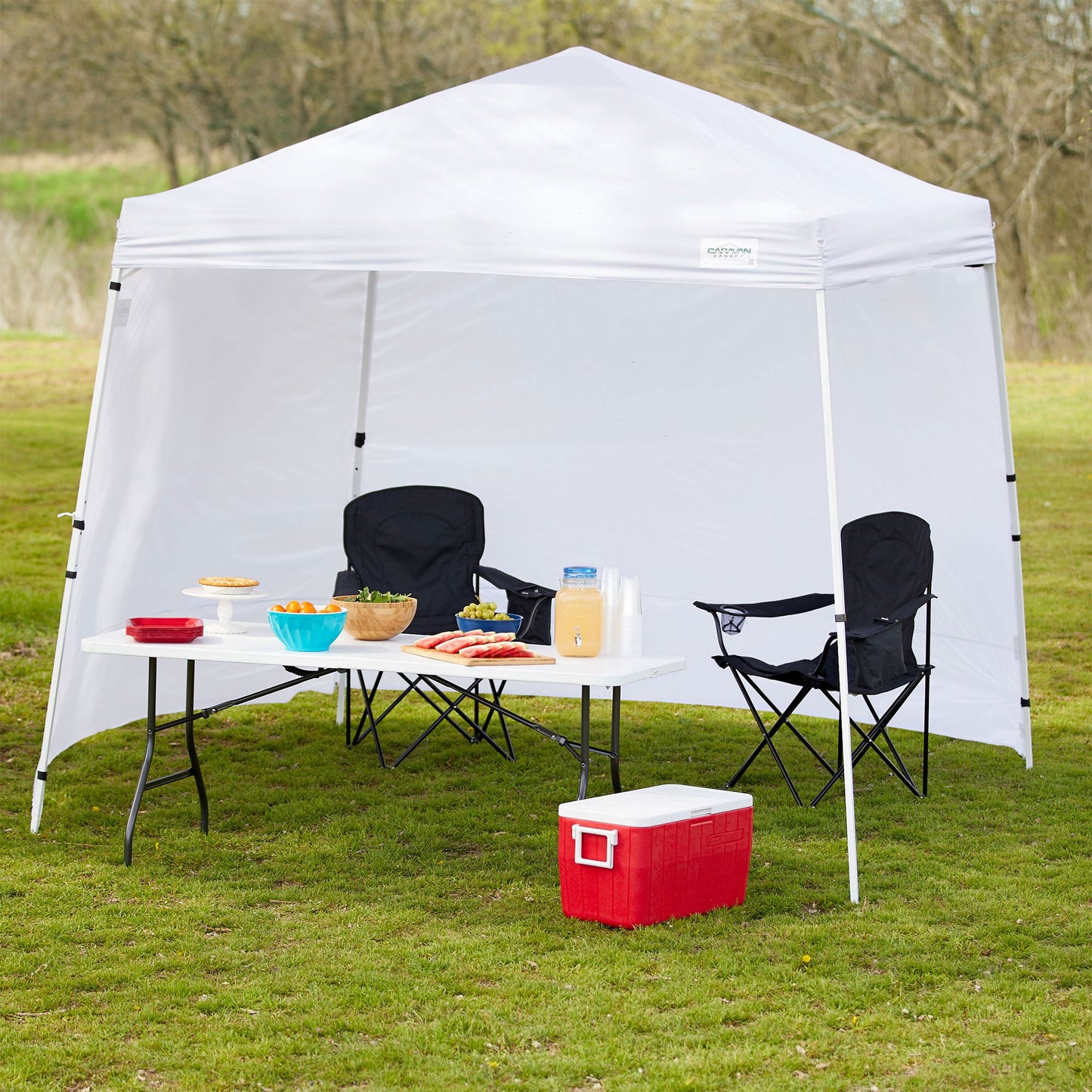 Caravan Canopy V Series Sidewalls w/V Series 2 Angled Leg Canopy & 4 6lb. Plates