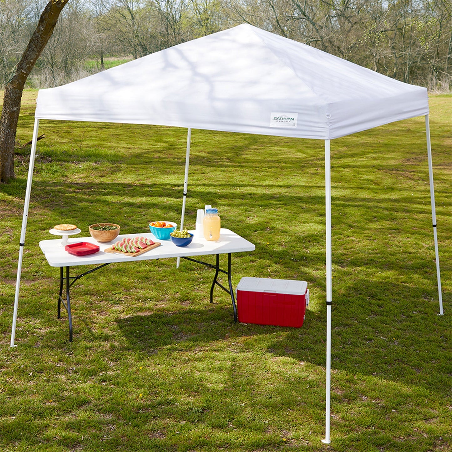 Caravan Canopy V Series Sidewalls w/V Series 2 Angled Leg Canopy & 4 6lb. Plates