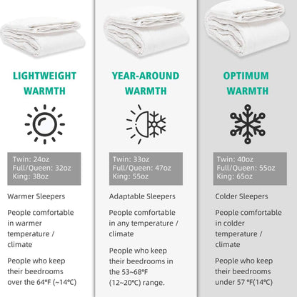 APSMILE Luxurious Feathers Down Full Queen Duvet Insert Comforter, White