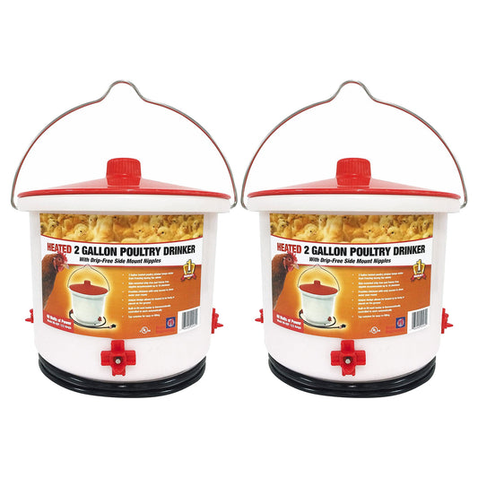 Farm Innovators Heated 2 Gallon Poultry Water Bucket Drinker, White/Red (2 Pack)
