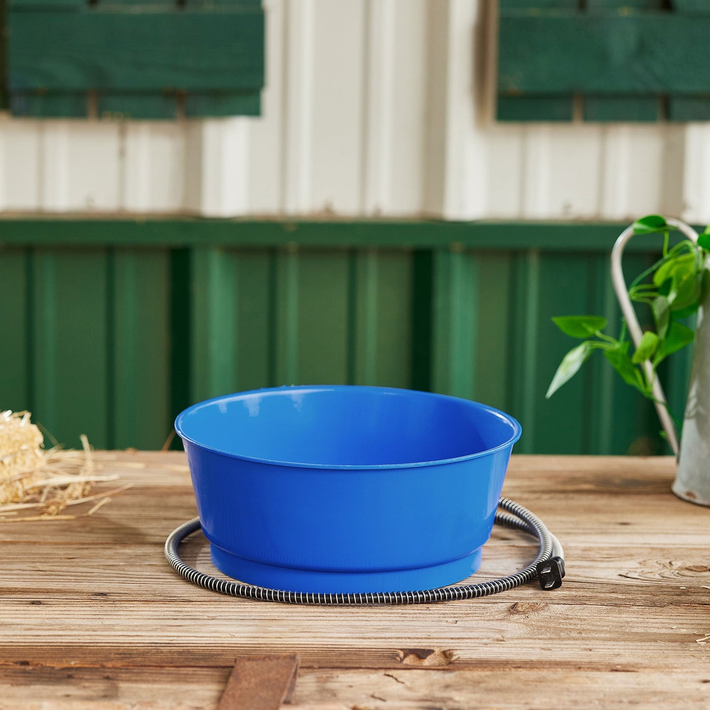 Farm Innovators 60 Watt 1.5 Gallon Electric Heated Pet Water Bowl, Blue (3 Pack)