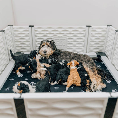 EZwhelp EZclassic 48 Inches Add On Room with Front Panel Set and Doors, White