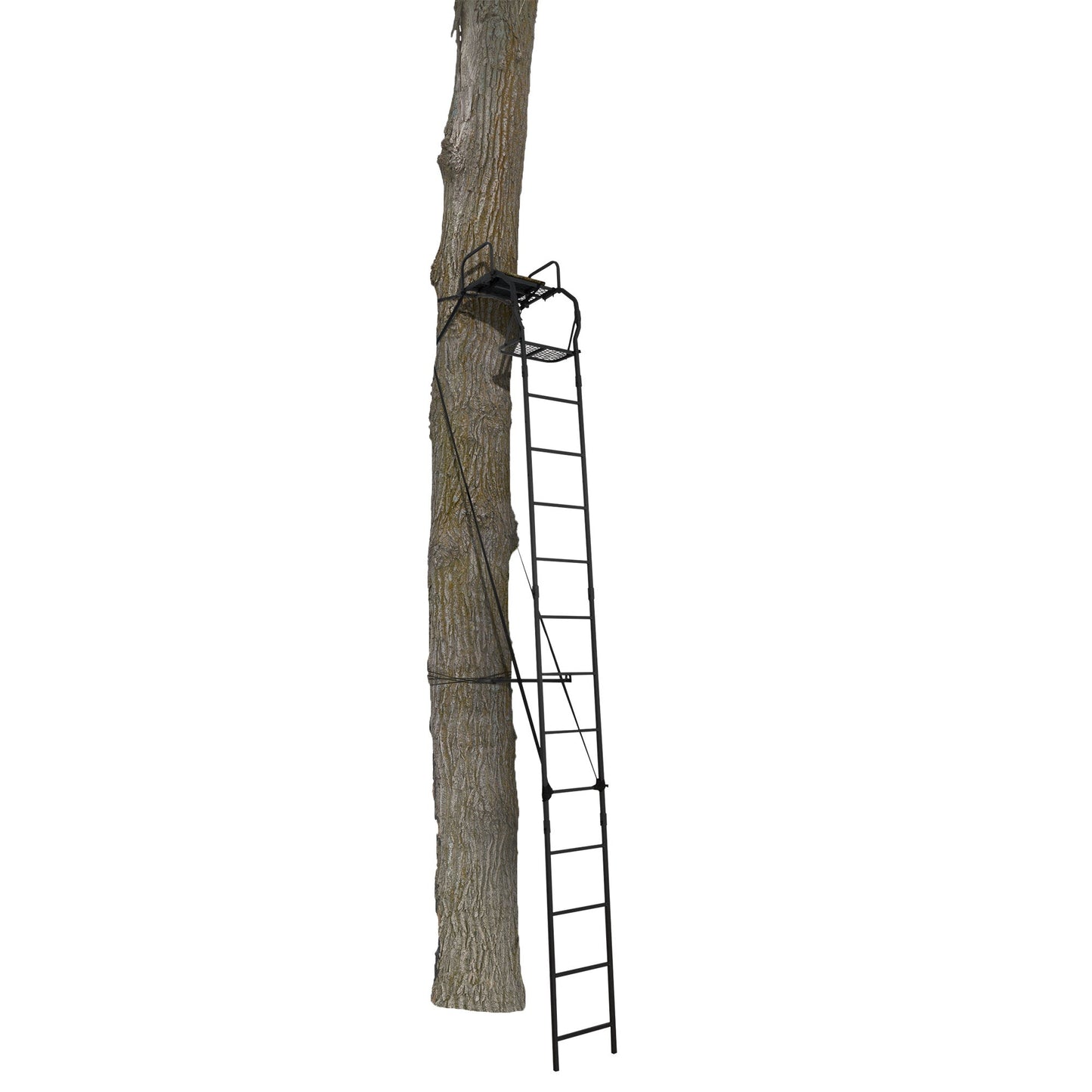 Big Game The Warrior Pro 1 Person Deer Hunting Ladder Climbing Tree Stand, Black