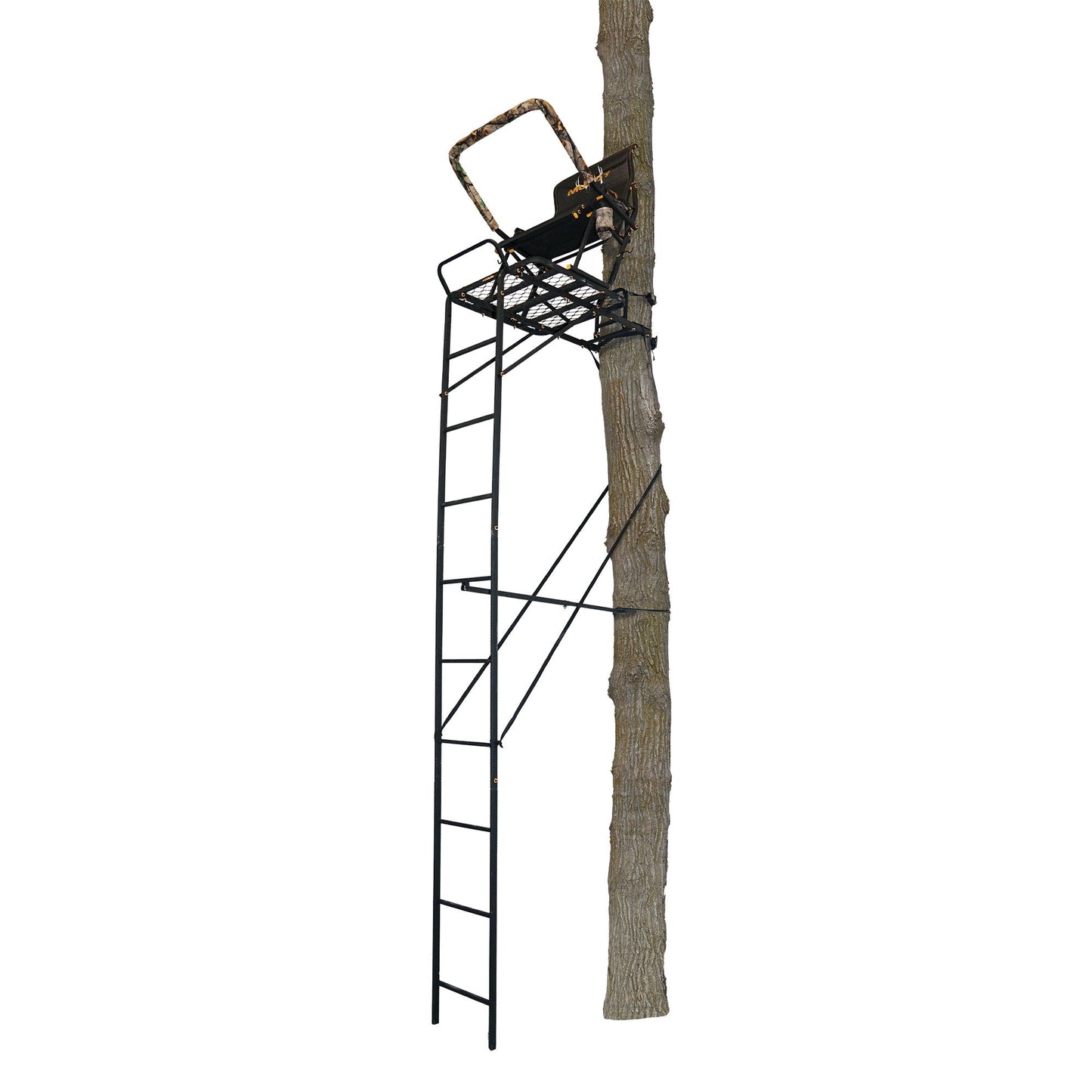 Muddy Boss Hawg 1.5 Deer Hunting 17 Foot Ladderstand Tree Stand w/Lumbar Seat