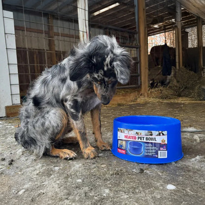 Farm Innovators 60 Watt Premium Plastic Heated Pet Dog and Cat Water Bowl, Blue