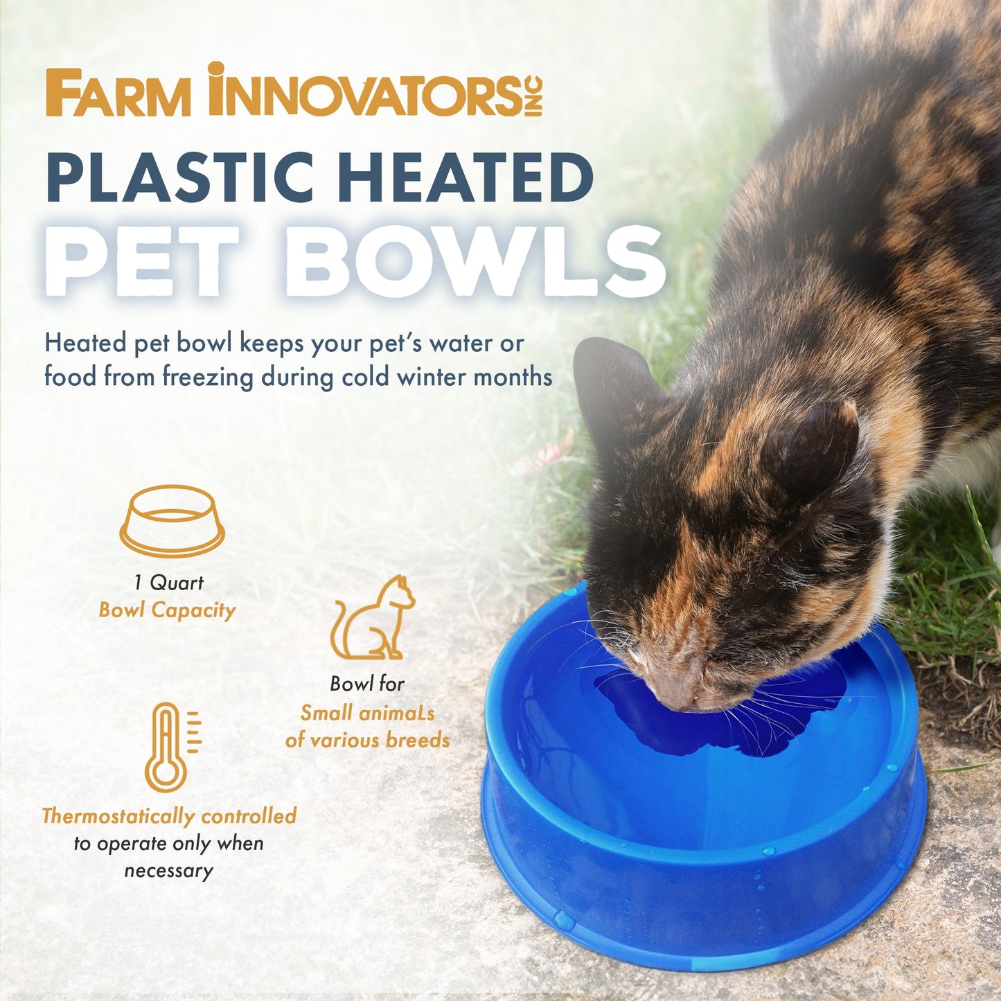 Farm Innovators Plastic Heated Pet Bowl with Anti Chew Cord for All Breed Sizes