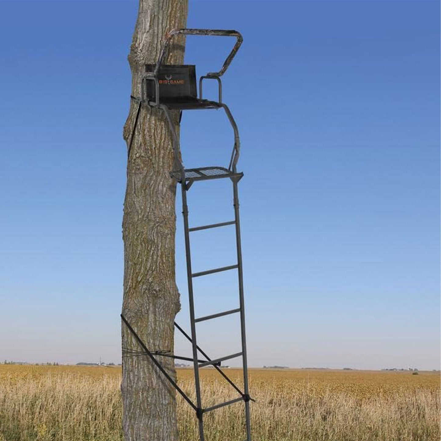 Big Game Warrior DXT 17' Portable Hunting Outside Tree Stand Ladder (2 Pack)