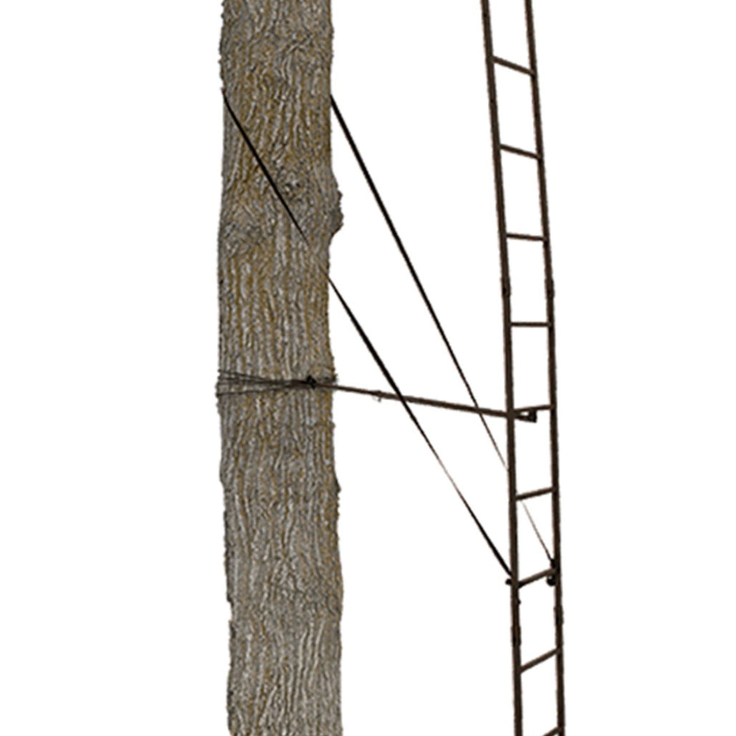 Big Game Warrior DXT 17' Portable Hunting Outside Tree Stand Ladder (2 Pack)