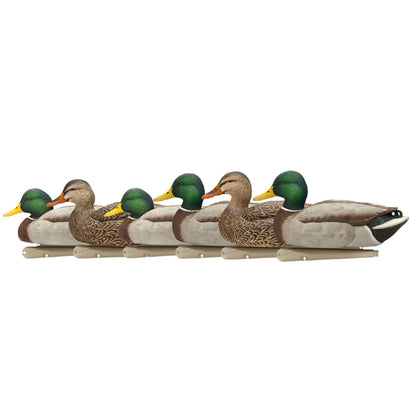 Avian X Top Flight Open Water Mallards Decoys, Ultra Realistic Floating, 6 Pack