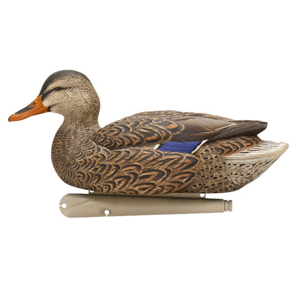 Avian X Top Flight Open Water Mallards Decoys, Ultra Realistic Floating, 6 Pack